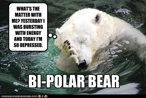 bi-polar-bear.jpg